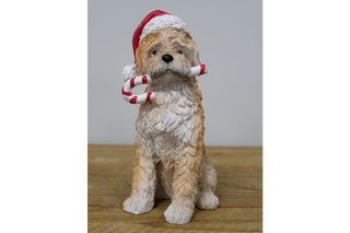 Christmas Dog With Candy Cane, Cute Festive Decor