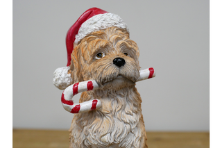 Christmas Dog With Candy Cane, Cute Festive Decor