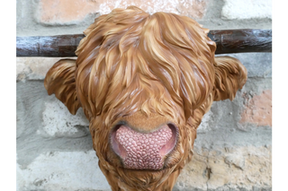 Highland Cow Wall Mounted Head, Home Decor