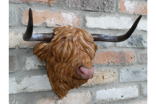 Highland Cow Wall Mounted Head, Home Decor