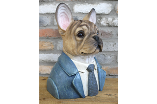 Large French Bulldog Bust, Fabulous Gentleman Animal Decor