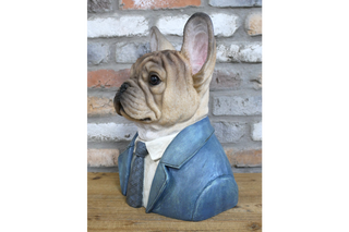 Large French Bulldog Bust, Fabulous Gentleman Animal Decor