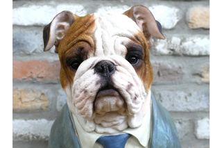 Large Bulldog Bust, Home Decor Sculpture for Animal Lovers