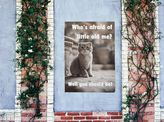 Who's afraid of little old me? image 0