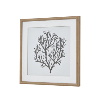 Atol Coral Art Mounted In Beaded Frame, Luxury Wall Art