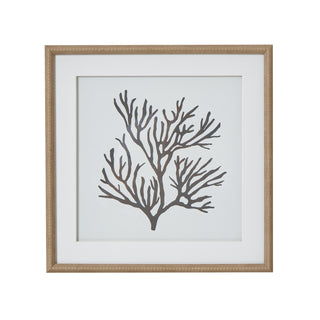 Reef Coral Art Mounted In Beaded Frame, Luxury Wall art