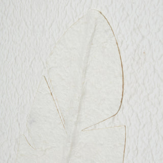 Large Quill White Feather Art Mounted In Beaded Frame, Luxury Wall Art