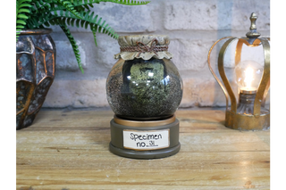 Head In Specimen Jar - Spooky Ornament image 1