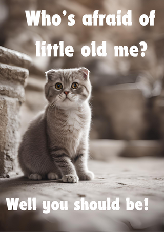 Who's afraid of little old me? image 1