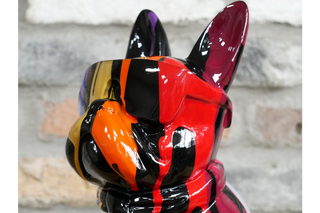 Multi Colour Dog With Shades image 1