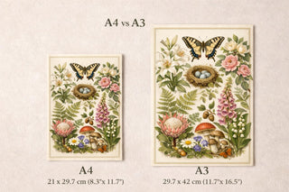 Vintage Botanical Print Set | Natural History Floral Illustration Poster (A4 A3)
