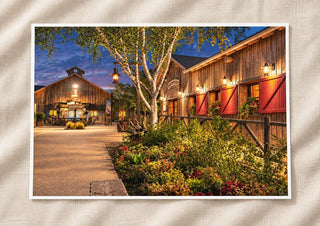 Disneyland Paris Davy Crockett Ranch Print,