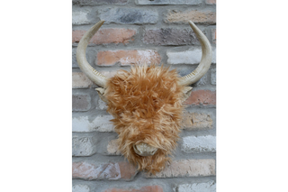 Woolly Highland Cow Wall Decoration