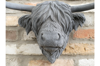 Highland Cow Wall Bust, Velvet Finish
