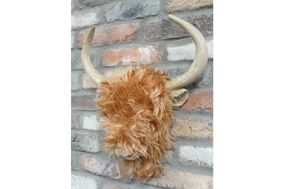 Woolly Highland Cow Wall Decoration