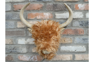Woolly Highland Cow Wall Decoration