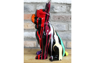 Multi Colour Dog With Shades image 4