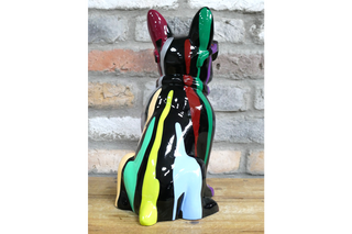 Multi Colour Dog With Shades image 2